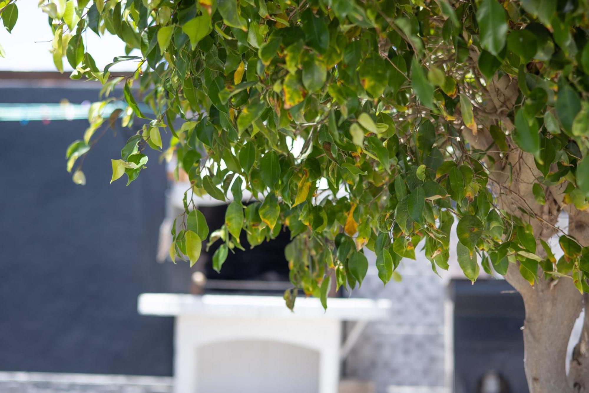 Villa Iseo Playa Blanca  Luaran gambar